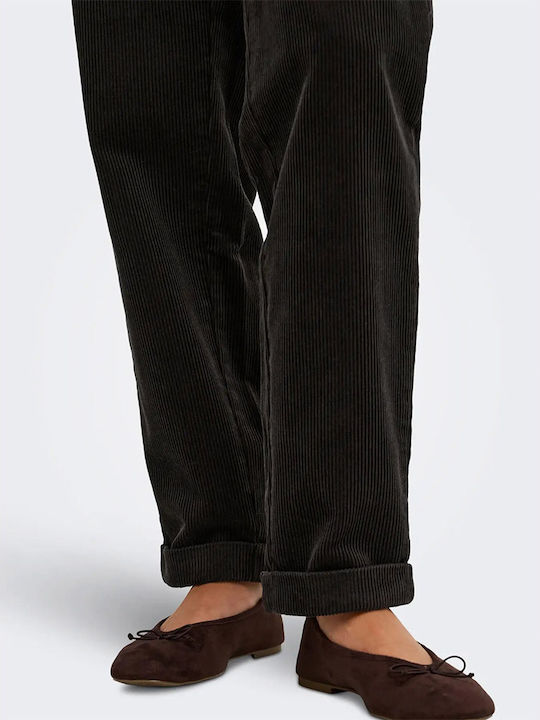Damen Chino Hose in Regulärer Passform Braun