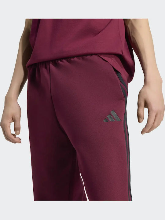 Herren-Sweatpants Pant Bordeaux Schwarz