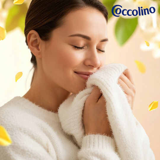 Coccolino Kompaktes Flüssiges Waschmittel 3lt (120 Wäschen)