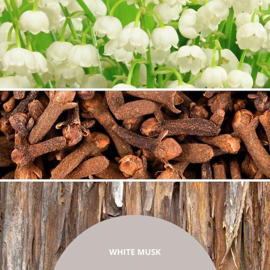 Millefiori Nachfüllsticks Millefiori Milano Weißer Moschus 77remb 500ml