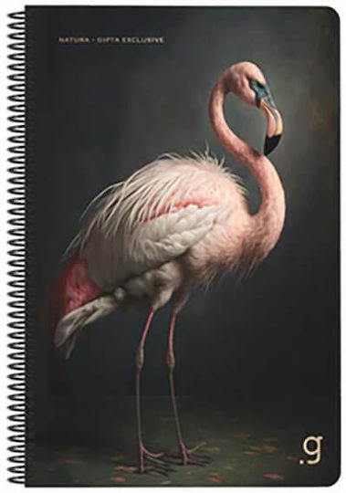 Gipta Spiral School Notebook Ruled B5 75 Paper Sheets 3 Subjects Natura (Various Designs or Colours) 3-55-37