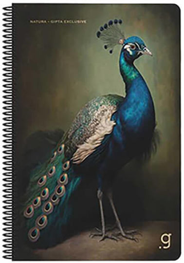 Gipta Spiral Notebook Ruled A4 50 Paper Sheets 2 Subjects (Various Designs or Colours)