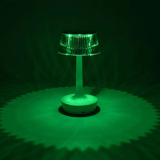 Decorative Lamp LED RGBW 23x12cm