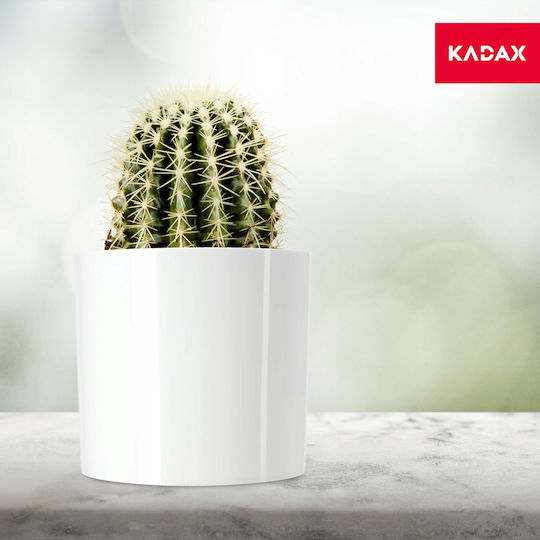 Kadax Übertopf 12,5 cm Farben