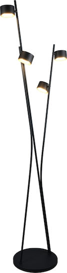 Trio Lighting Floor Lamp H180xW53cm. with Socket for Bulb GX53 Black