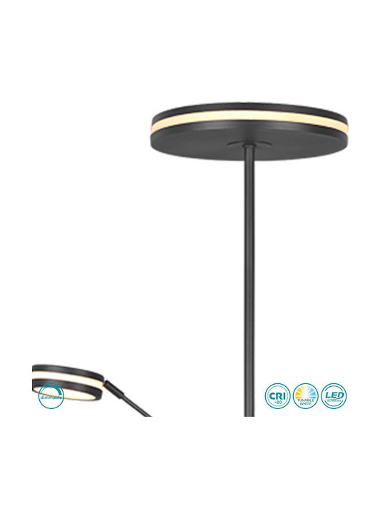 Trio Lighting Franklin LED Stehleuchte H181xB35.2cm. mit Einstellbarem Weißem Licht 4100lm Schwarz
