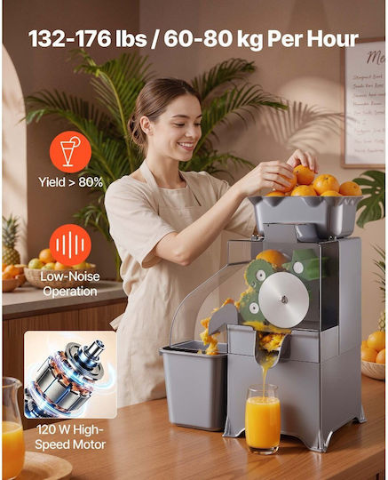 Vevor Juicer 100W