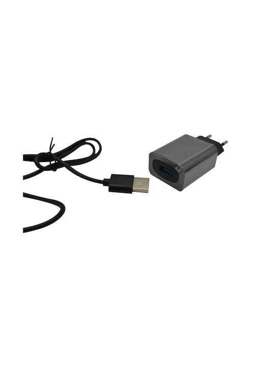 Ankor LED Office Lamp with Foldable Arm in Black Color