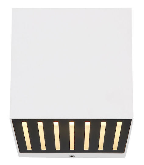 Globo Lighting Lampă De Tavan Led 6W 3000K 10x10cm Globo Lighting Lampă De Tavan Led 6W 3000K 10x10cm