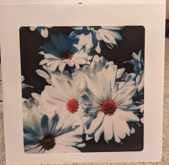 Lana Del Rey - Lust For Life 2xLP