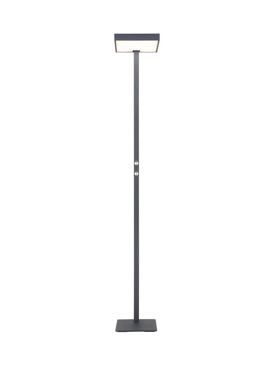 Globo Lighting Lampadar de podea Gri