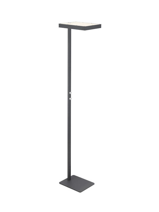 Globo Lighting Lampadar de podea Gri