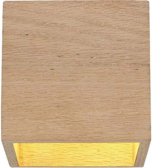 Globo Lighting Wandleuchte Schwarz