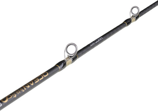 Seahawk Ocean Infinity Deep-j Fishing Rod for Casting / Jigging 1.65m 250gr
