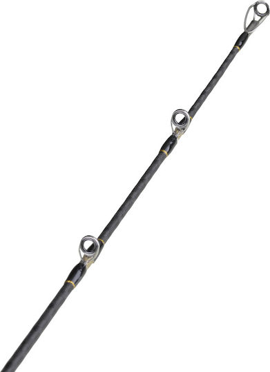 Seahawk Ocean Infinity Deep-j Fishing Rod for Casting / Jigging 1.65m 250gr