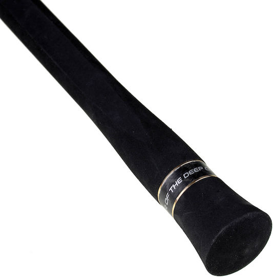 Seahawk Ocean Infinity Deep-j Fishing Rod for Casting / Jigging 1.65m 250gr
