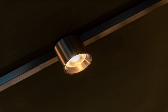 Lucide Lightning Premium Спот