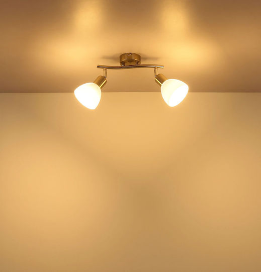 Globo Lighting Doppel Decken- und Wandleuchte in Silber Farbe