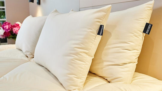 Valeria Home Woll Kopfkissen 65x65cm
