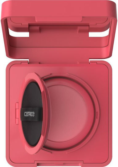 Catrice Cosmetics Rouge & Blush 030 4g