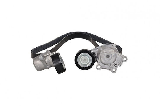 Curea Micro-v Citroen Berlingo 08 + Întinzătoare 1687683880