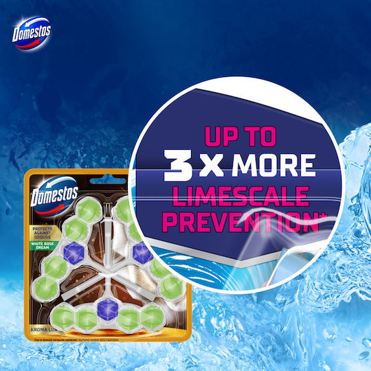 Domestos Badezimmerreiniger Toilette Mit Duft Frische 3x50gr