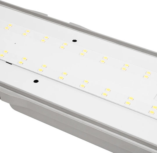 GloboStar Φωτιστικό Φθορίου Οροφής LED 24W Ψυχρό Λευκό