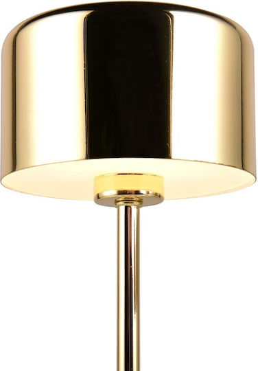 Trio Lighting Метална Настолна лампа LED с Златист Абажур и Основа