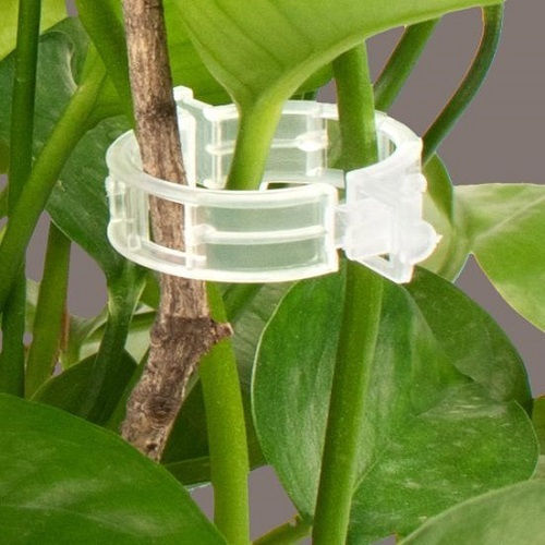 Palaplast Clips De Legat Plante 23mm Palaplast Clips De Legat Plante 23mm