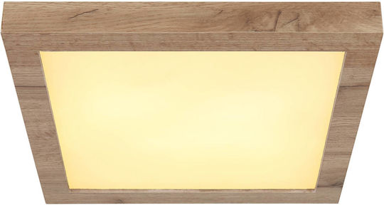 Globo Lighting LED Panel 16W Globo Lighting LED Panel 16W