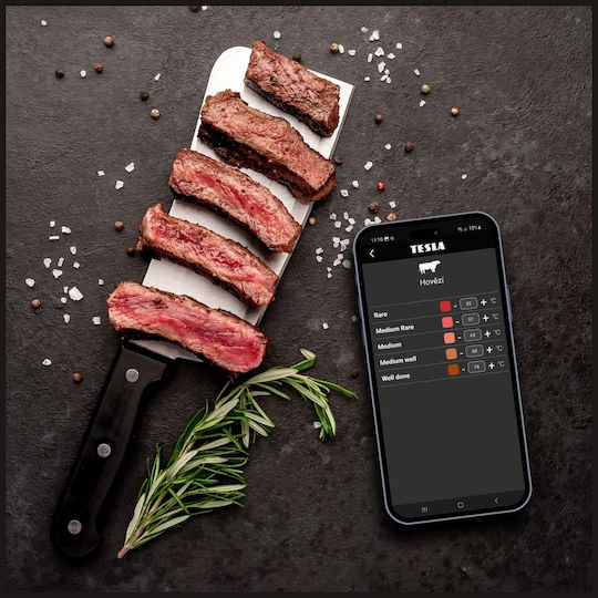 Tesla Kabelloses Digitales Lebensmittelthermometer Backofen mit Sonde