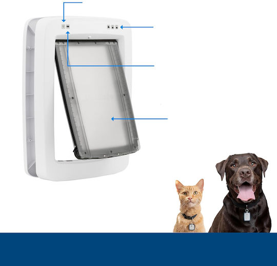 Elektrisches Hundehalsband