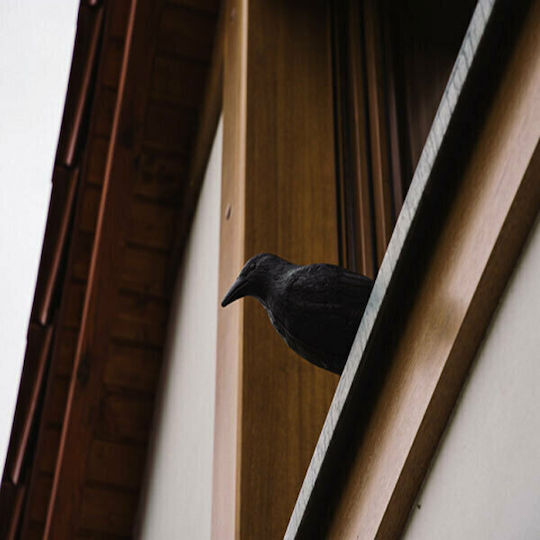 Bradas Bird Scarers Birds 0.41x0.12m