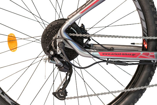 Orient Ultra 1.0 29" 2024 Gray Elektrisch Mountainbike
