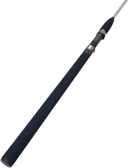 Daiki Buster Fishing Rod for Surf Casting 2.70m 10-40gr