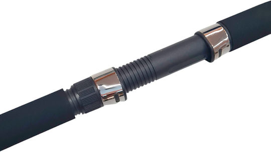 Daiki Buster Fishing Rod for Surf Casting 2.70m 10-40gr