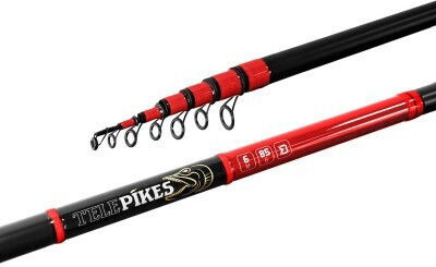 Delphin Fishing Rod for Bolognese 7m 85gr