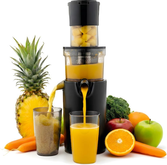Tesla Electronics TSLJSJ500XLBLK Сокоизтисквачка Slow Juicing 200W Черен