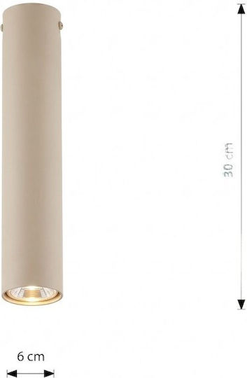 Emibig Brown Pendant Light