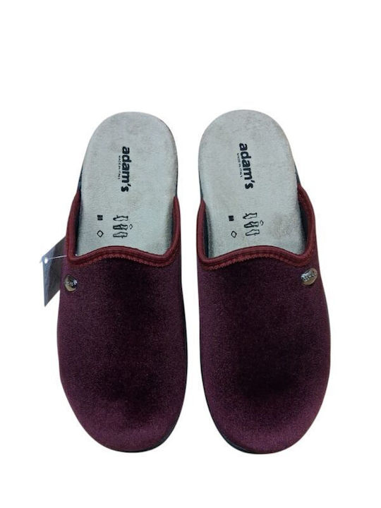 Adam's Shoes Adam's Shoes