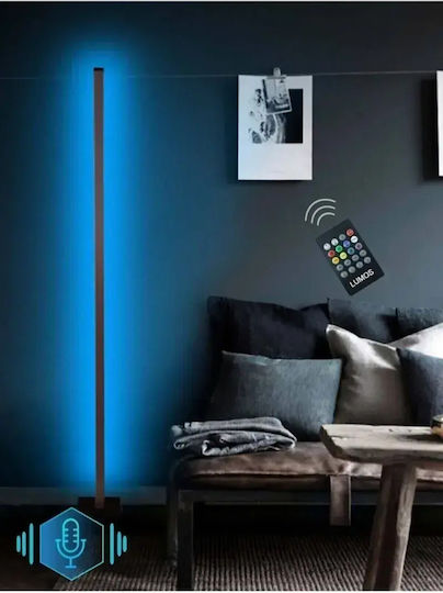 SteweHome Decorative Lighting RGB