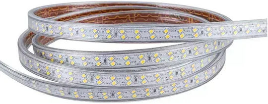 Prolutech Bandă LED Impermeabilă 220V Lumină Alb Natural 25m Tip SMD2835 cu Sursă de Alimentare