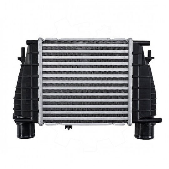 Ψυγείο Αέρα Υπερπλήρωσης Nissan Cube Juke Note Nv200 Renault Clio Iii Modus 8200471884