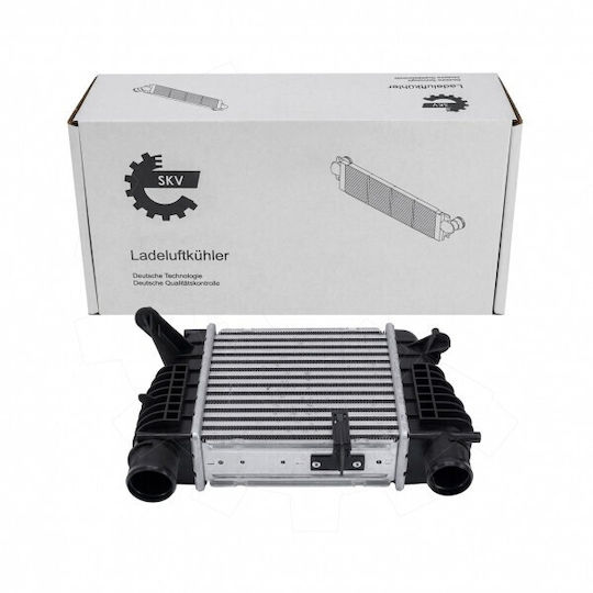 Ψυγείο Αέρα Υπερπλήρωσης Nissan Cube Juke Note Nv200 Renault Clio Iii Modus 8200471884