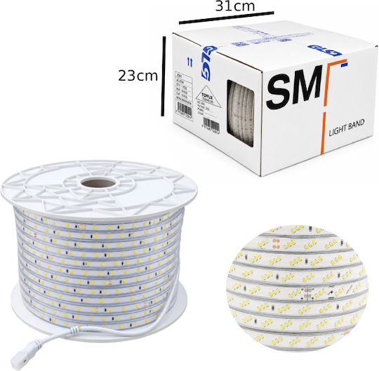 Christmas Tube Light 2835 White 100m