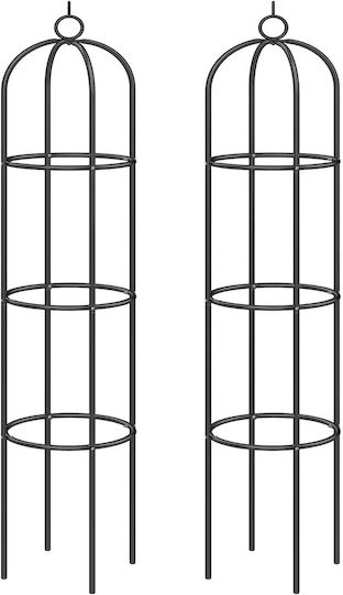 Set 2 Araci Si Suporturi Plante Gardebruk Obelisc 200x40cm Negru