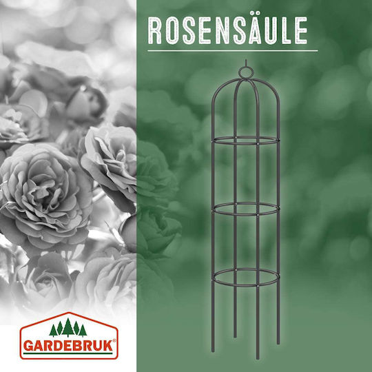Set 2 Araci Si Suporturi Plante Gardebruk Obelisc 200x40cm Negru