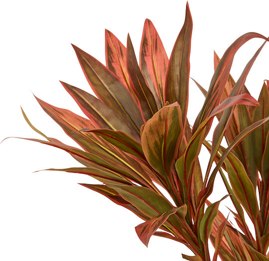 Artificial Dracaena Tree 175cm A-s Edi Red 218963 Plastic