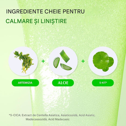 Eqqualberry Aloe PDRN Serum Calmante și Hidratant pentru Față cu Centella Asiatica și Niacinamidă pentru Strălucire 30ml