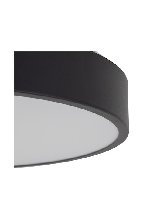 TK Lighting Таванно Осветително Тяло 30см Интегриран LED TK Lighting Таванно Осветително Тяло 30см Интегриран LED